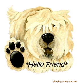 Hello Friend