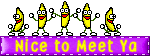 Nice To Meet Ya