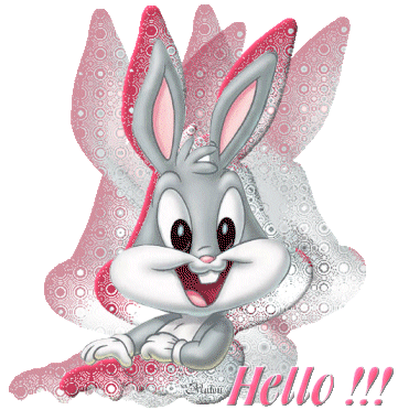 Hello Bunny