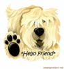 Hello Friend