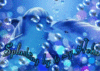 Splashing By To Say Hello