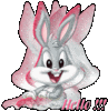 Hello Bunny