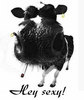 Hey Sexy! cow smoke