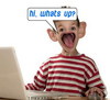 Hi, Whats Up?
