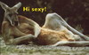 Hi Sexy
