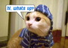 Hi, Whats Up?