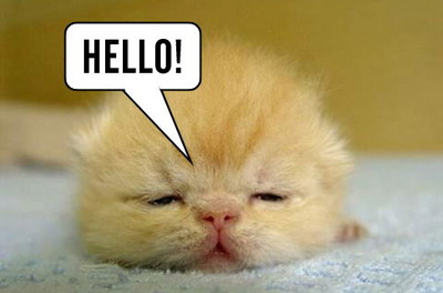Hello Kitty