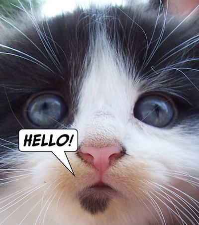 Hello Kitty White Black
