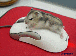 Hot Mouse Graphics