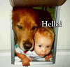 Hello Funny