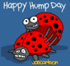 Happy Hump Day