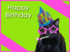 Happy Birthday Black Cat