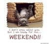 I Don't Know About You, But I Am Ready For The Weekend