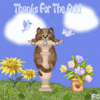 Thanks Fro The Add Cat 