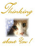 Thinking About You !