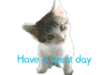 Have A Great Day Kitty