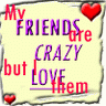 My Friends Are Crazy Icon