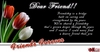 Friendship Is A Brige Built On Caring And Strengthened By The Years