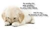 I'm SendingThis Little Greeting To All My Online Friends
