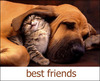 Best Friends
