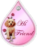 Hi Friend