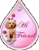 Hi Friend