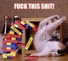 *** This Shit!