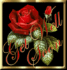 Get Well Soon Red Flower