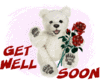 Get Well Soon Bear Red Rose