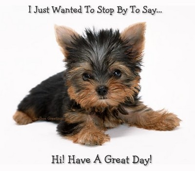 I Just Wanted To Stop By To Say Hi! Have A Great Day!