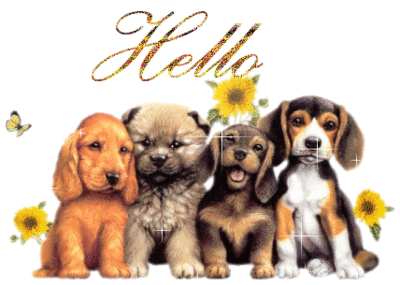 Hello Puppies