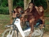 funny