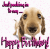 Just Peeking To Say Happy Birthday