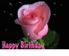 Happy Birthday Pink Rose