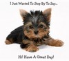 I Just Wanted To Stop By To Say Hi! Have A Great Day!