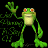Just Passing To Say Hi