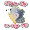 Flyin By To Say Hi