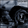 Broken Rose