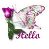 Hello Violet Rose