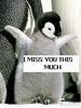 I Miss You This Much