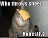 funny
