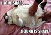 funny