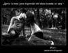 Beso La Mas Pura Expresion Del Alma Cuando Se Ama