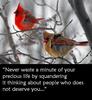 Never Waste A Minute Of Your Precious Life By Squeandering It Thinking About People Who Does Not Deseve You