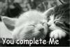 Cat Love