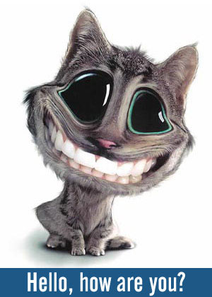 Hello, How Are You?