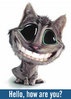 Hello, How Are You?