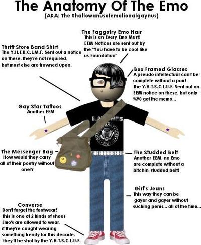 The Anatomy Of The Emo