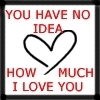 You Have No Idea How Much I Love You