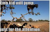 Emo Kid Will Jump Funny